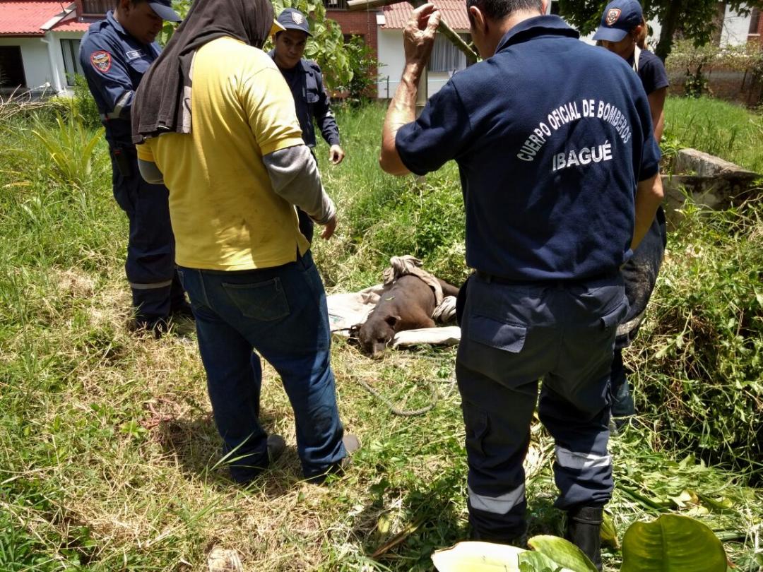 rescate 2