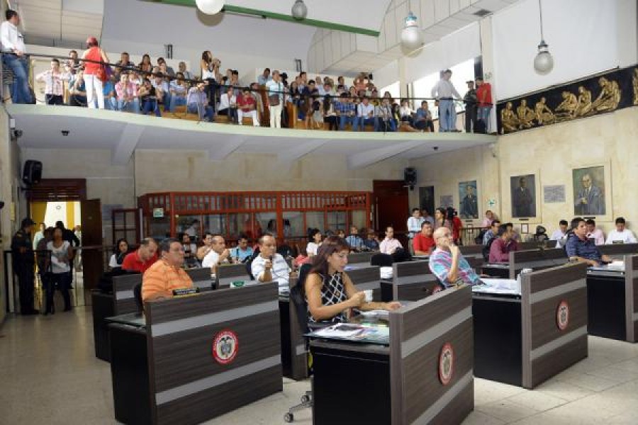 concejo de ibague