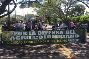arroceros