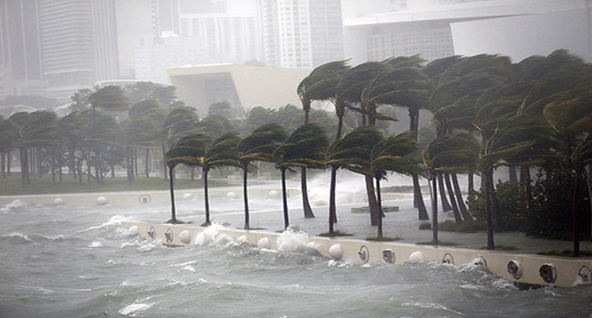 Galeria-Huracan-Irma-Miami350
