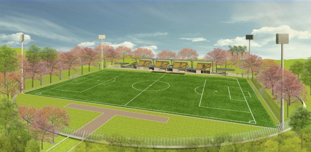 Estadio de Fútbol P