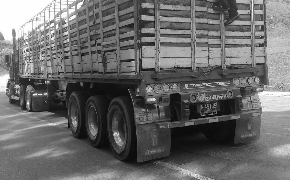 camion