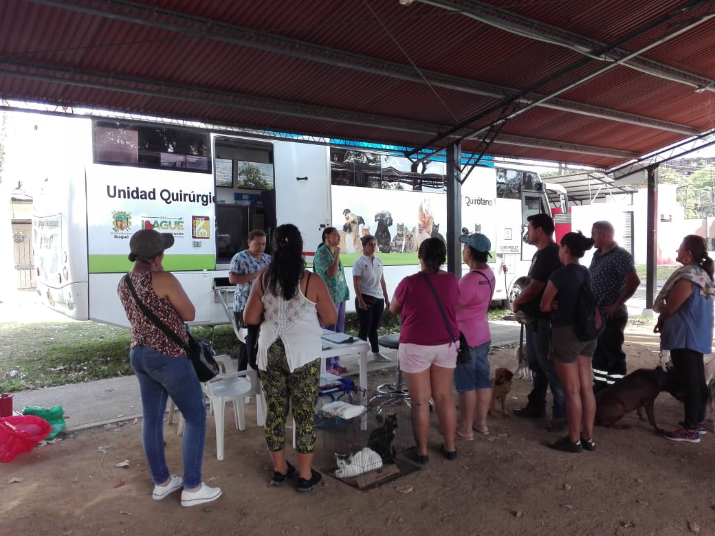 Esterilización gratuita 1 octubre