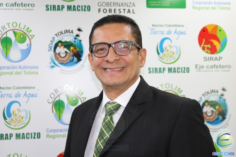 cardosonueva