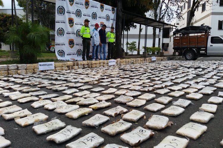 marihuana gualanday octubre 16