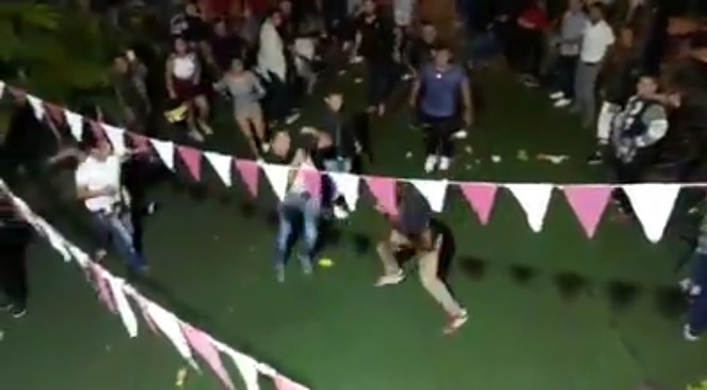 pelea