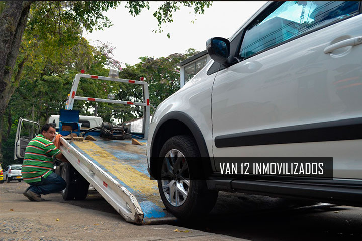 INMOVILIZADOS