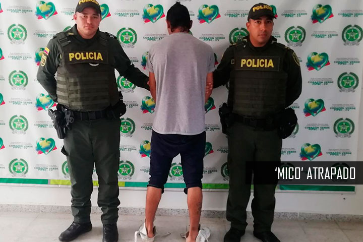 MICO-ATRAPADO