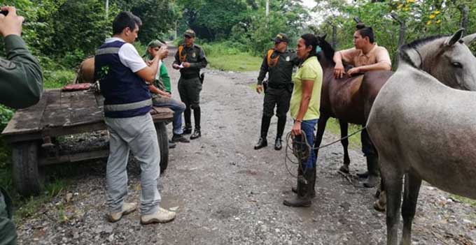 Vacunacion-EEV-Mariquita-2