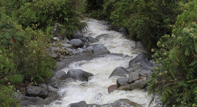 El río Amoyá recibe ayuda para su descontaminación 1