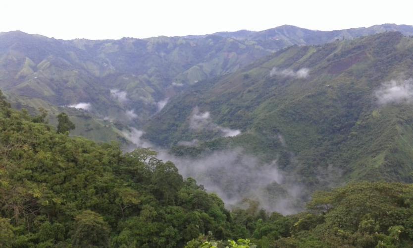 Hasta julio se sabrá si Hidrototare obtiene o no licencia ambiental 1