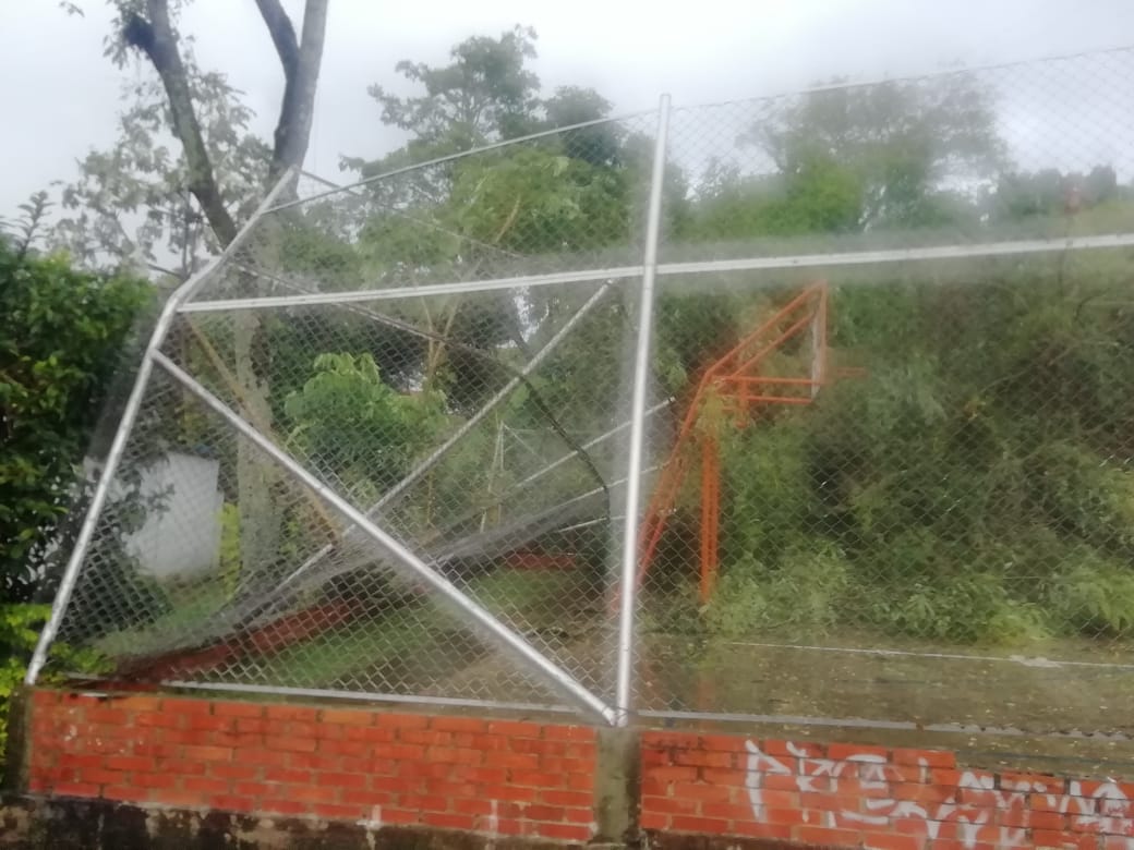 Tormenta eléctrica deja emergencias en Ibagué 14