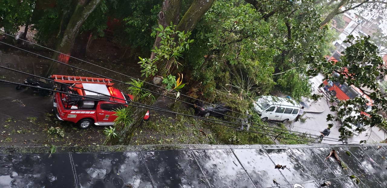 Tormenta eléctrica deja emergencias en Ibagué 7