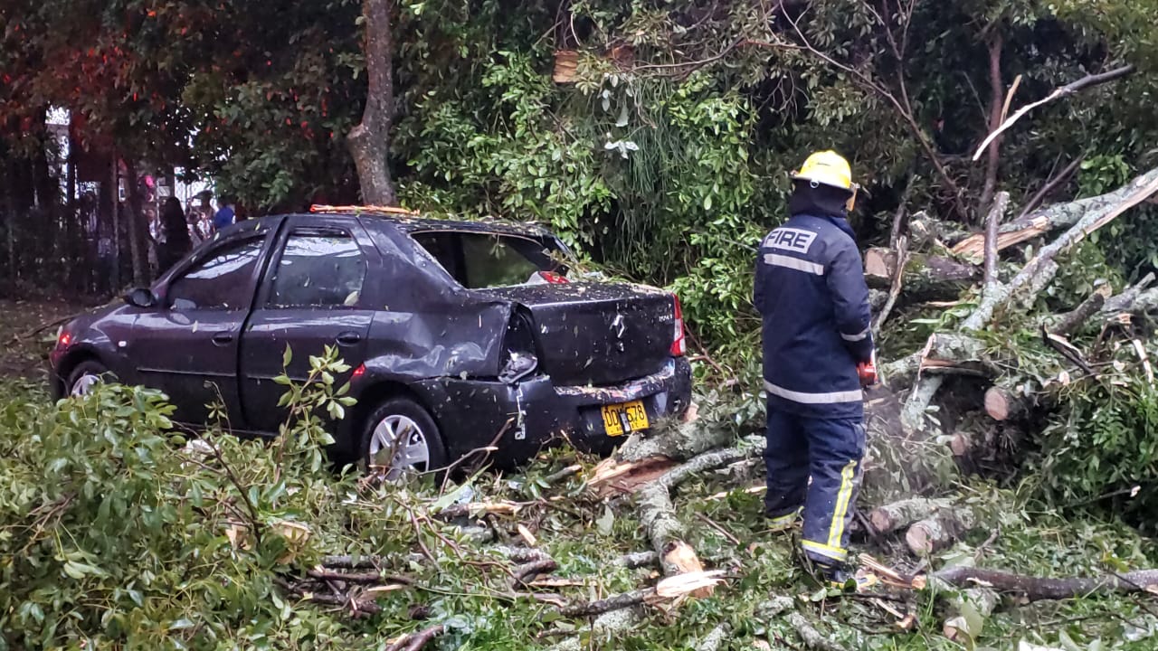 Tormenta eléctrica deja emergencias en Ibagué 5