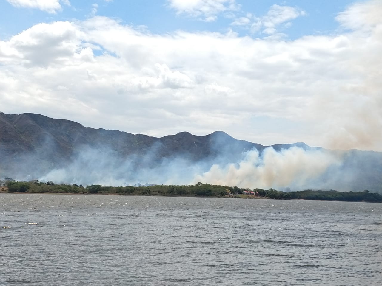 Autoridades reportan incendios forestales en 14 municipios del Tolima 3