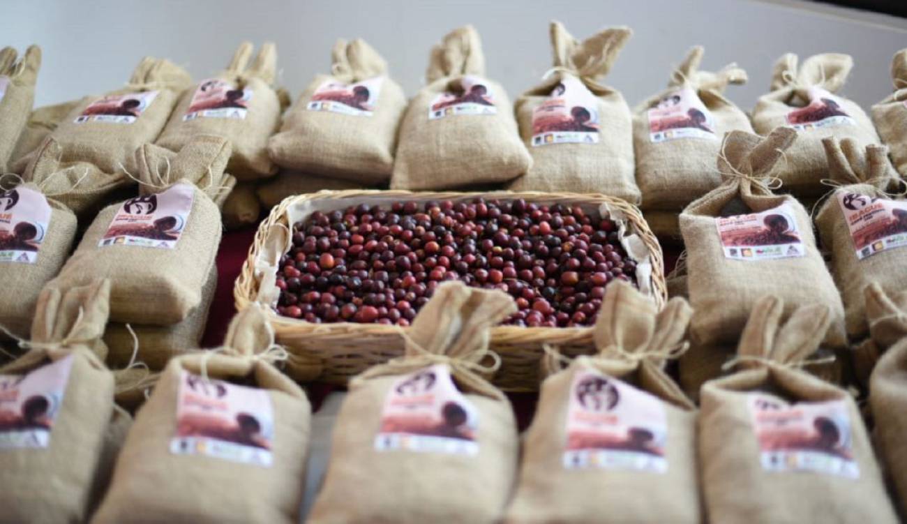 Hoy se dio apertura a la feria “Ibagué Café Festival” 1