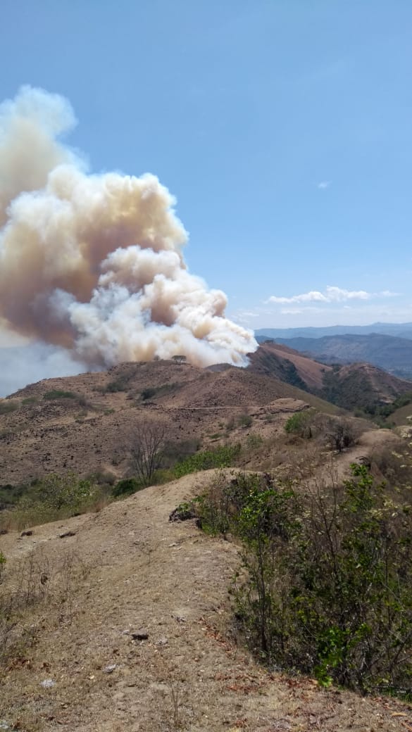 Estos son los graves problemas en el Tolima a causa de los Incendios forestales 1