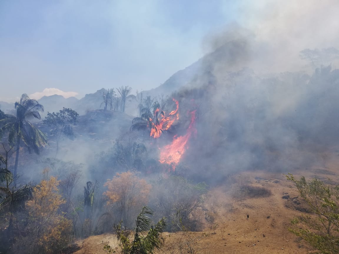 Voraz incendio amenaza Honda, declaran calamidad pública 1