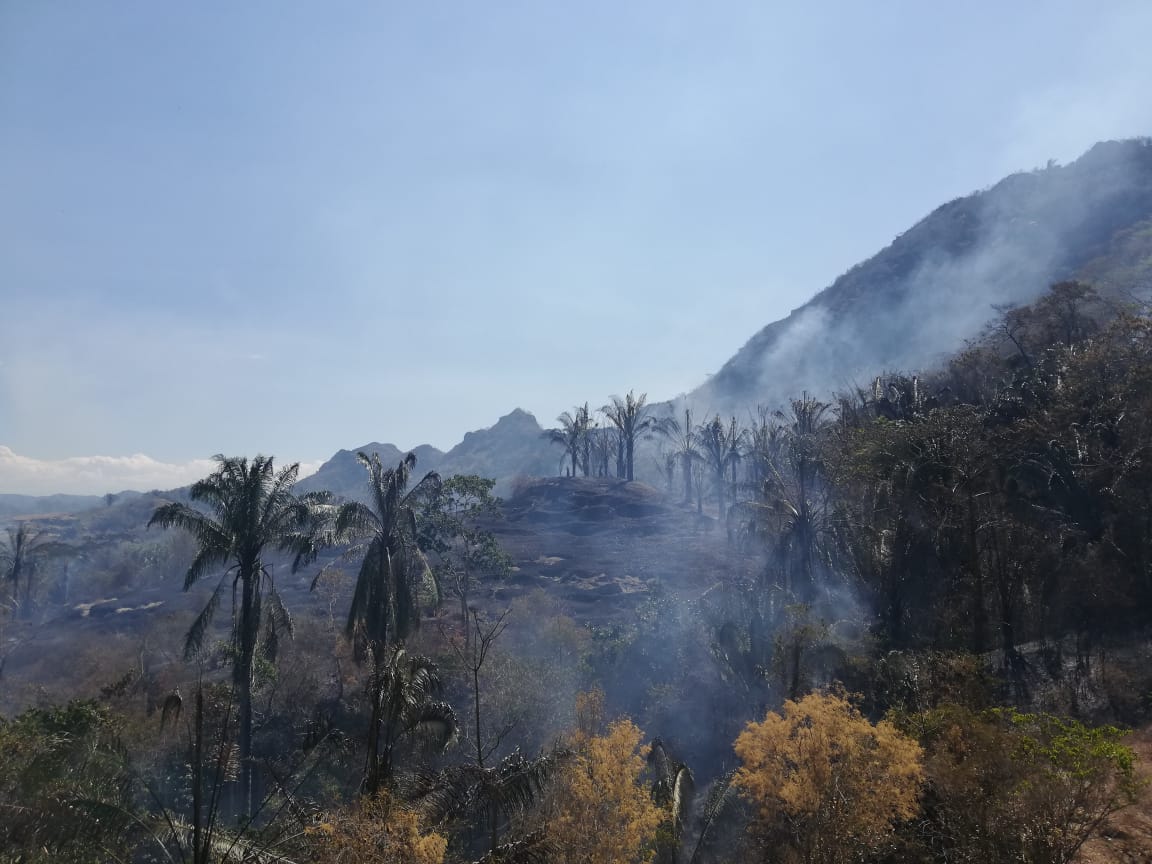 Voraz incendio amenaza Honda, declaran calamidad pública 2
