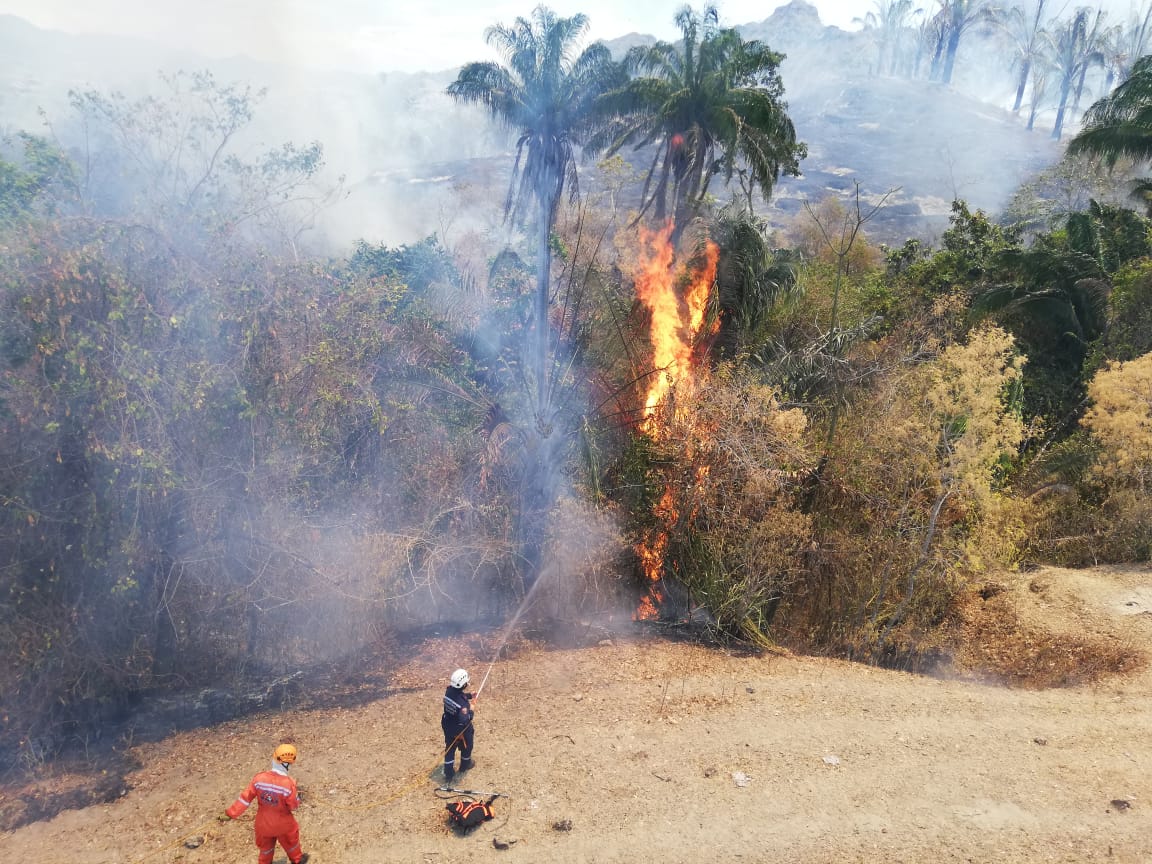 Voraz incendio amenaza Honda, declaran calamidad pública 5
