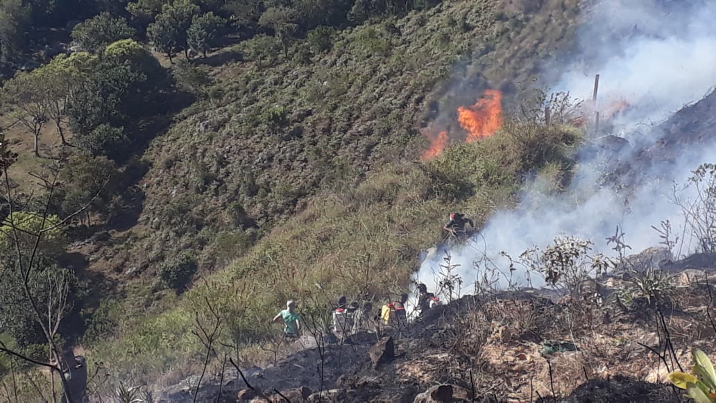 Organismos de socorro lograron apagar incendio forestal en el municipio de Dolores 1