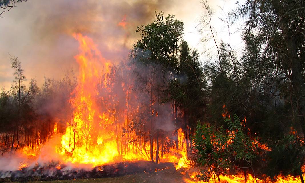 Por temporada de incendios se declaró la alerta naranja en el Tolima 1