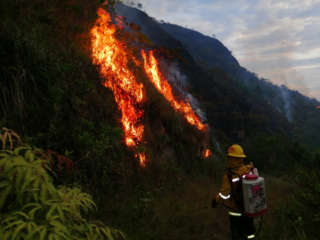 Tolima en alerta máxima por amenaza de incendios forestales 1