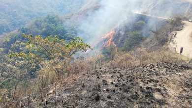 Autoridades se unen para restablecer zonas afectadas por los incendios forestales en Tolima 2