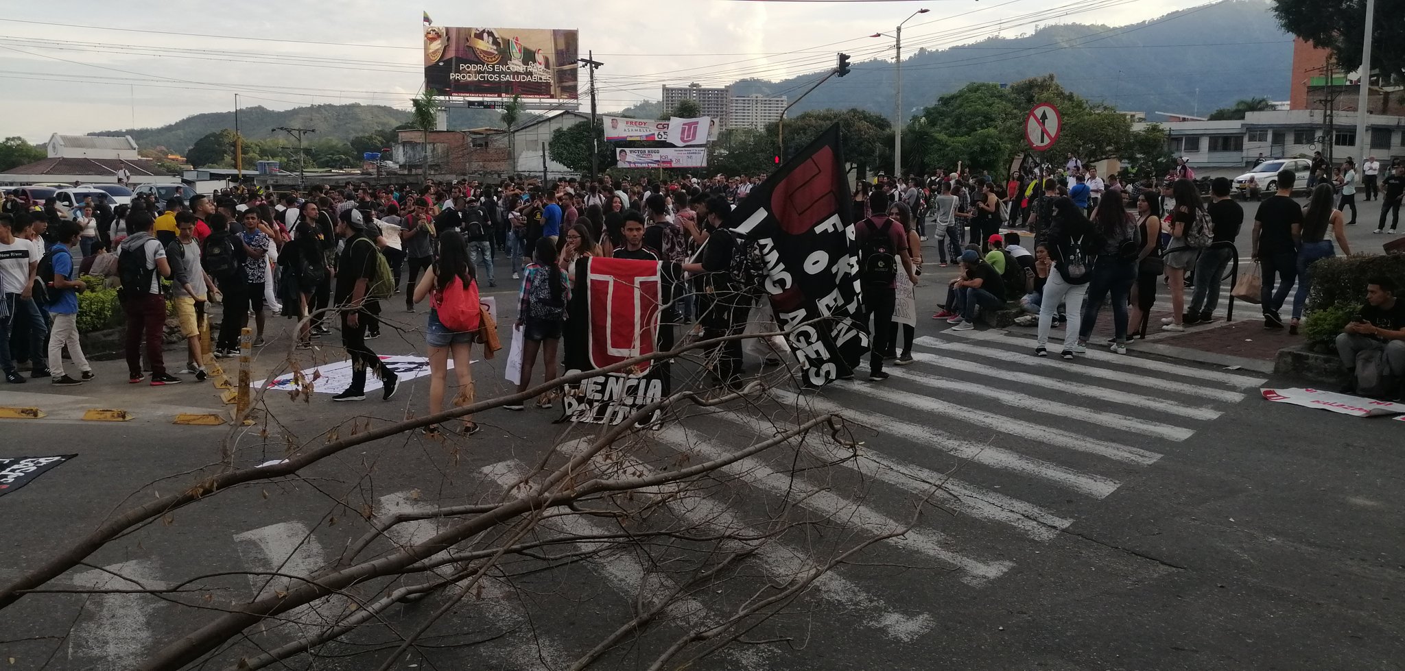 Estudiantes de la Universidad del Tolima y SENA se unieron a manifestación nacional 1