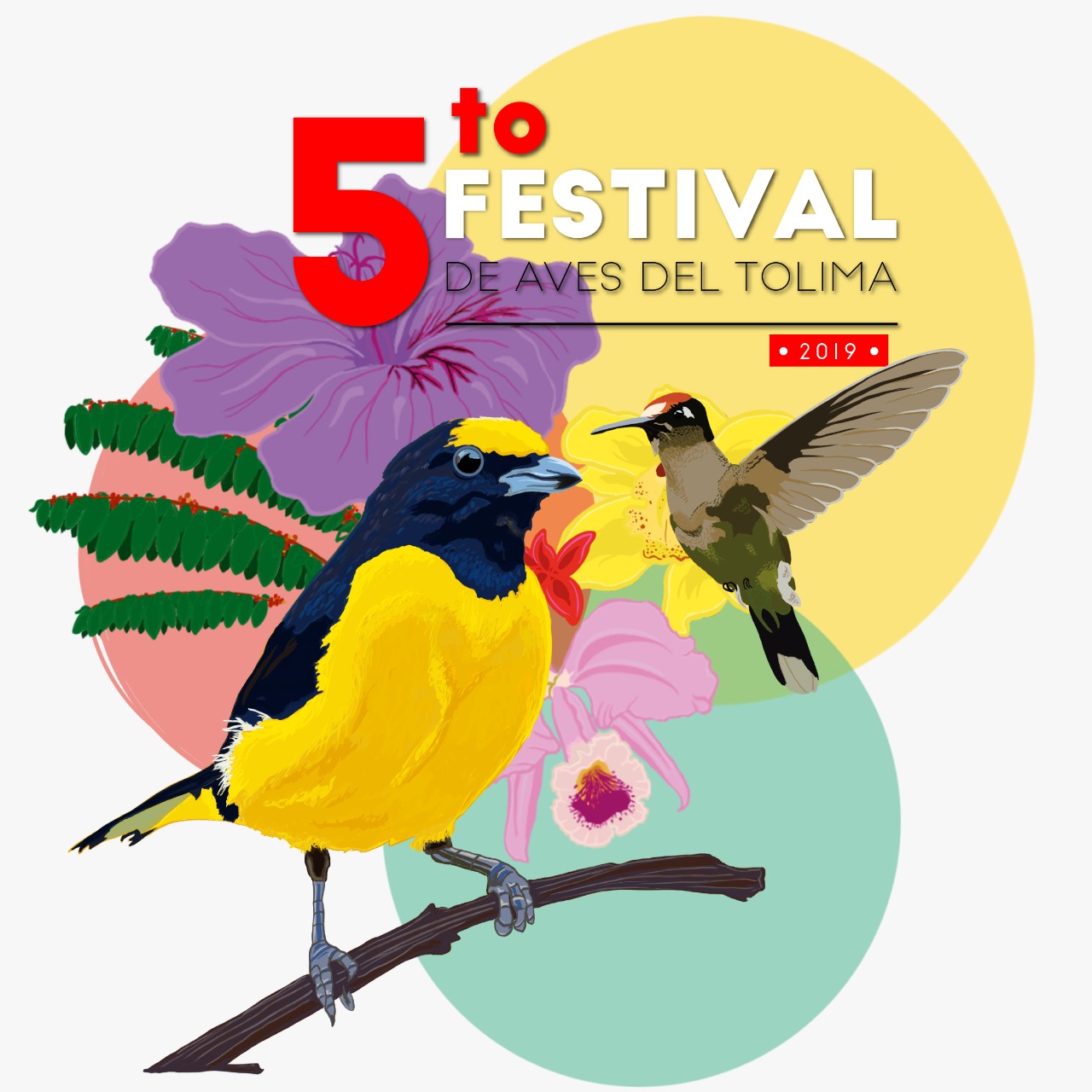 Ibagué celebra su cumpleaños a ritmo del canto de las aves 7