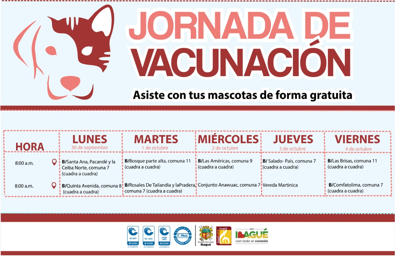 38.076 mascotas han sido vacunadas contra la rabia en Ibagué 4