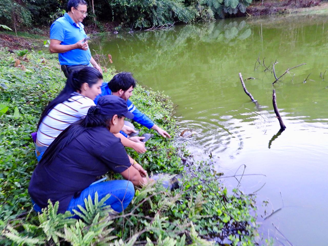 Garantizan nuevo hábitat a 9 tortugas que habían sido víctimas de tráfico de fauna silvestre 7
