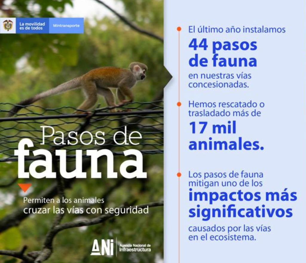 Gobierno Nacional ha logrado implementar proyectos viales para la protección de más de 17 mil animales 7