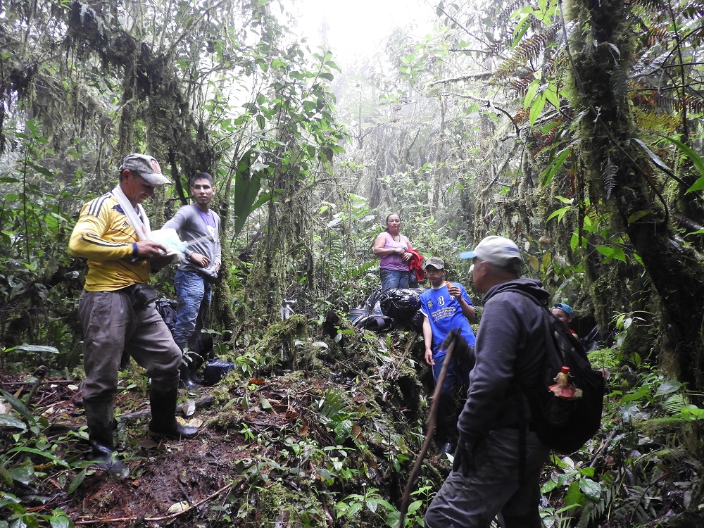 Universidad del Tolima avanza en el proceso conservación del Bosque de Galilea 1