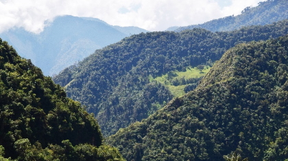 Restringen el ingreso a la Reserva Forestal Alto Combeima” y el Nevado del Tolima 1