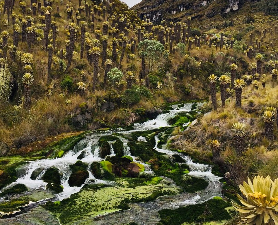 Cortolima hace un llamado al cumplimiento de medidas de seguridad para los turistas 3
