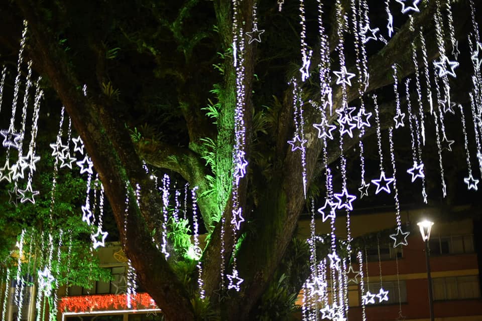 Conozca los 26 puntos del alumbrado navideño de la ciudad de Ibagué 10