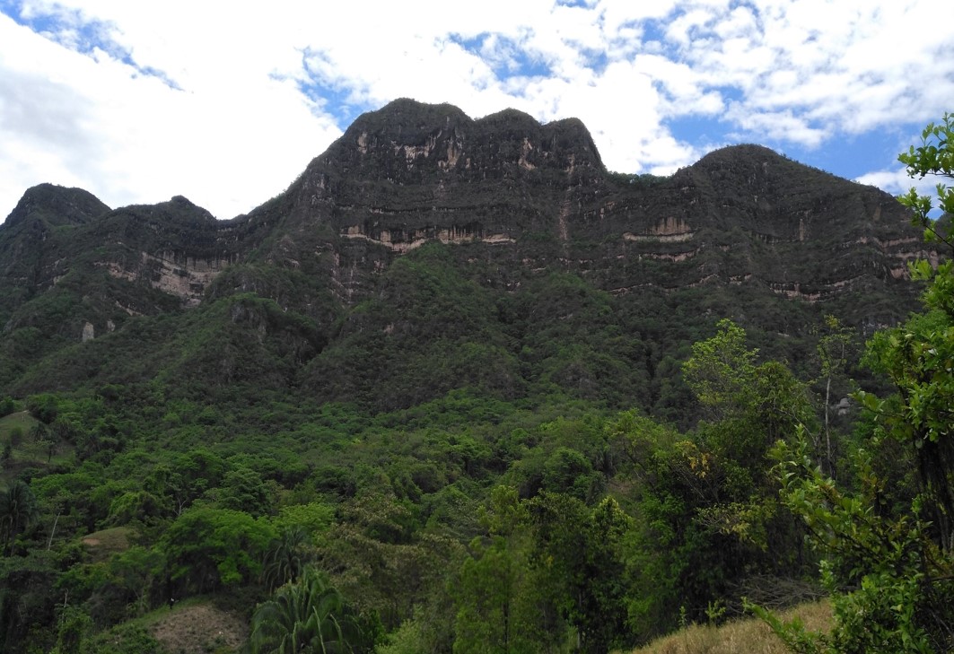 184,66 hectáreas fueron adquiridas por Cortolima en Purificación para su preservación 5