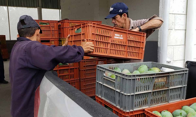 Proyecto tolimense nominado al premio de Regalías Bien Invertidas 3