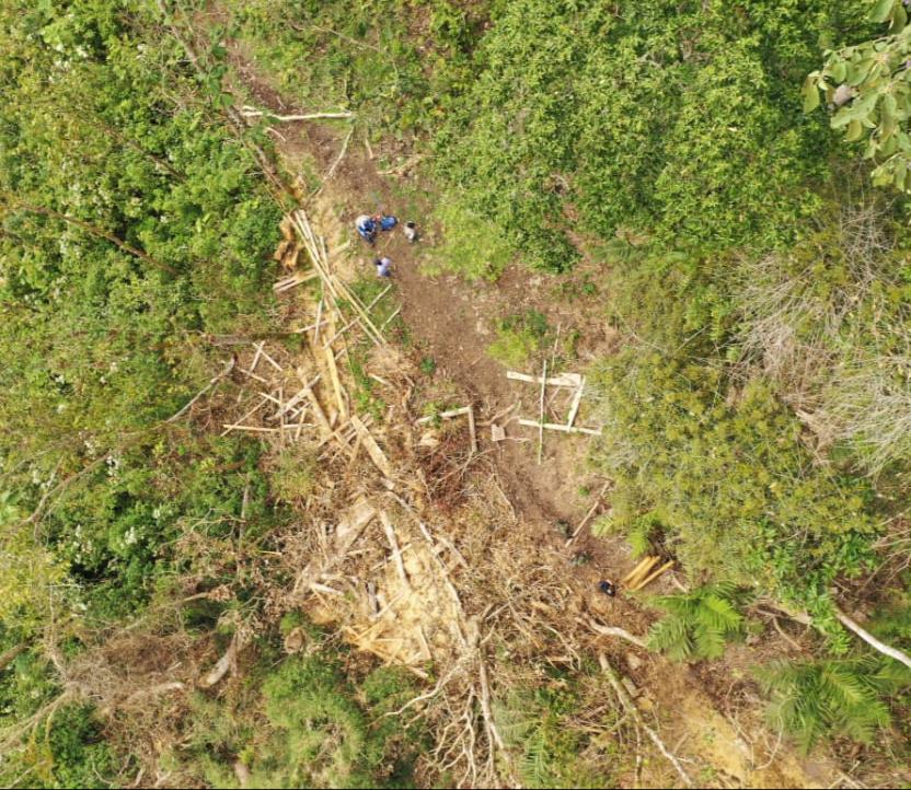 Autoridades decomisaron madera talada ilegalmente en Ibagué y Cajamarca 7