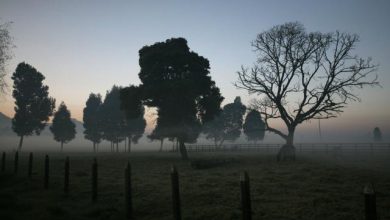 Preocupación en cultivadores por heladas en algunas regiones del país 6