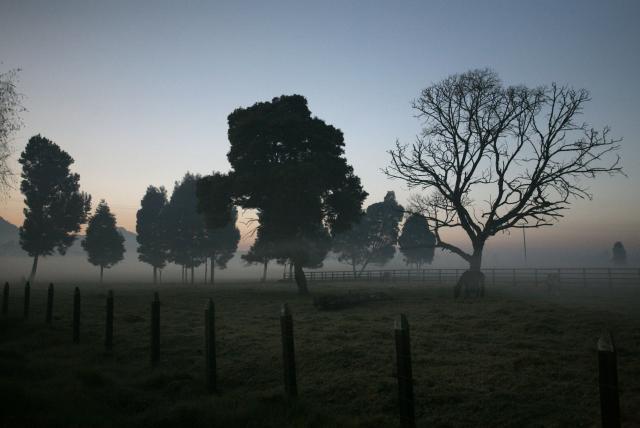 Preocupación en cultivadores por heladas en algunas regiones del país 1