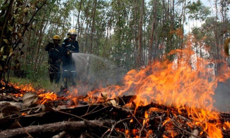 33 municipios del Tolima en alerta roja por posibles incendios forestales 1