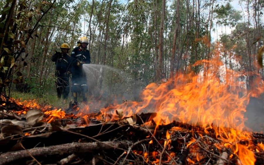 33 municipios del Tolima en alerta roja por posibles incendios forestales 1