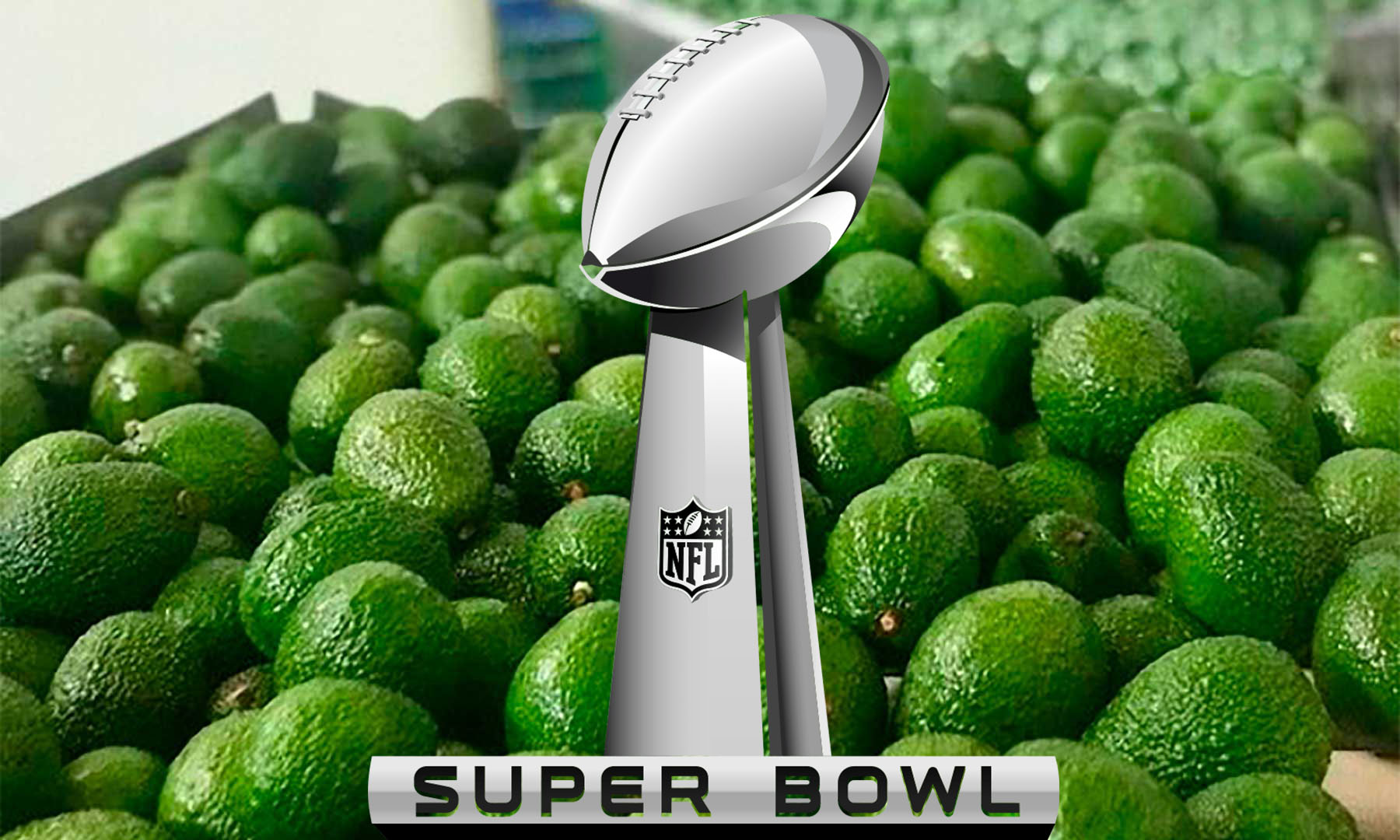 Aguacate Hass del Tolima será uno de los protagonistas en el Super Bowl 1