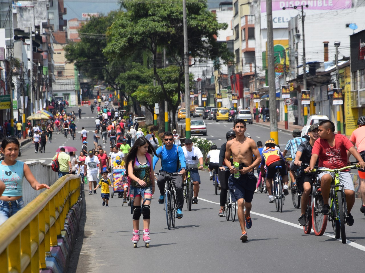 Prepárese para el Día sin Carro y sin Moto en Ibagué 3