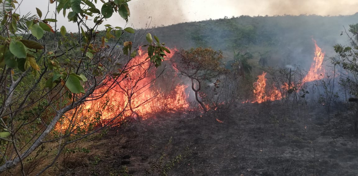 Manos criminales estarían en el incendio de la cobertura vegetal en La Macarena, Meta 3