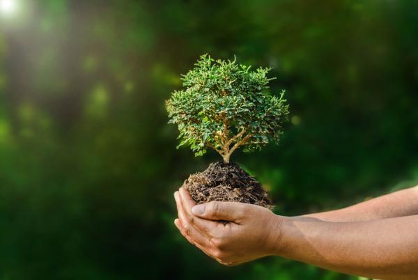 Insisten en ejercer acciones para proteger la vida de los defensores de recursos naturales 1
