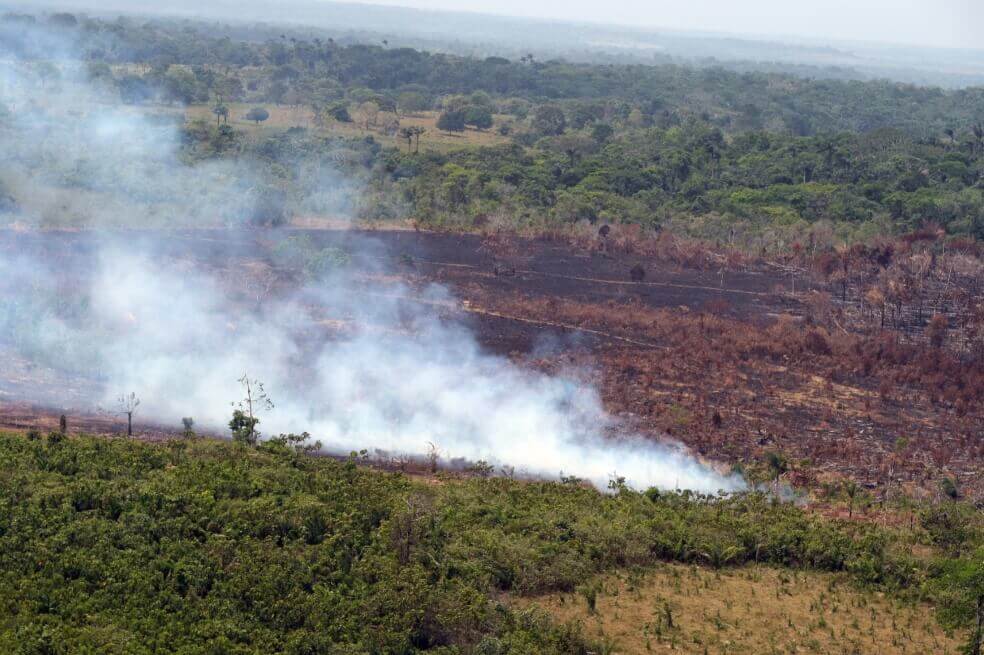 Gobierno anuncia la creación de Fuerza de Tarea de Protección Ambiental 1