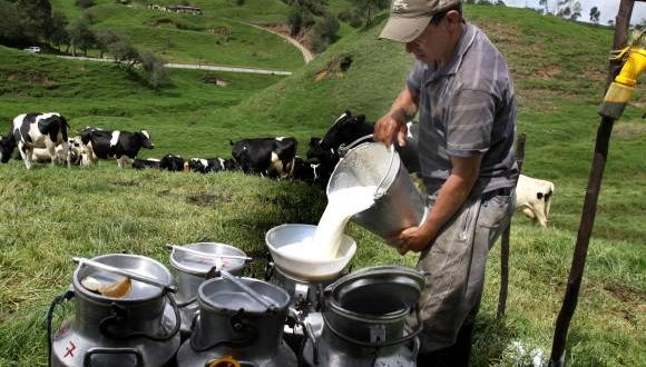 En 8% aumenta el precio base del litro de leche que se paga al productor 1
